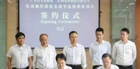 2019年OLED、LCD产业链投资汇总：规模超3600亿元 13.webp.jpg