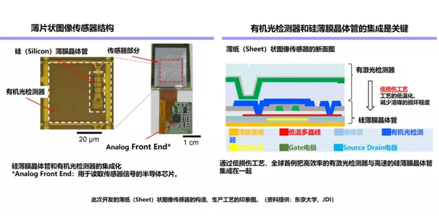 JDI与东大合作研发薄型可弯曲图像传感器 1.webp.jpg