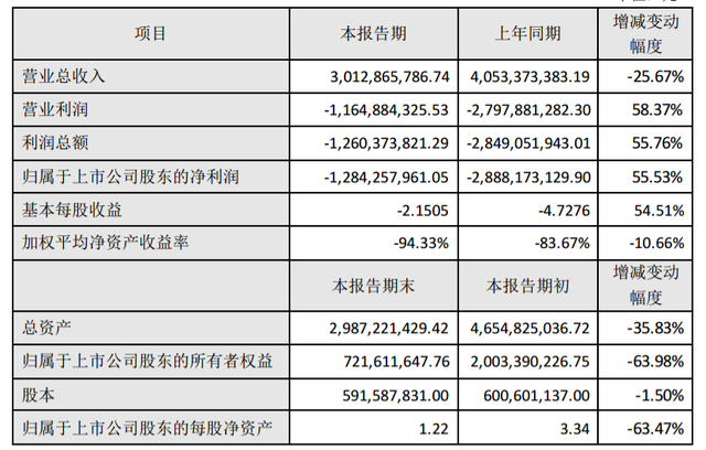 联建光电2019年亏损12.84亿 比上年减少亏损55.53%.png