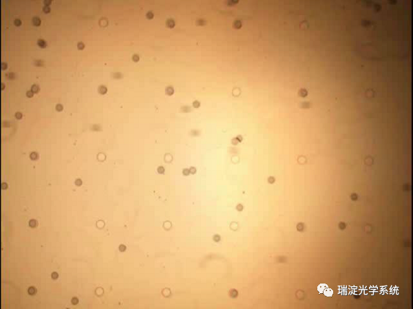 如何应对MicroLED在生产和质量检测方面的挑战 4.jpg