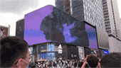 8.gif