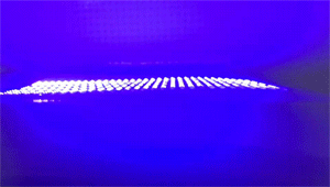 5.gif