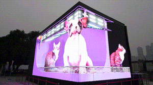 3.gif
