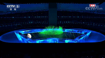 6.gif