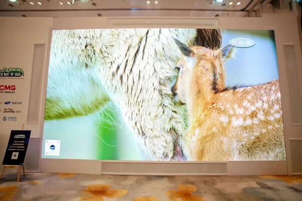 QQ截图20231124095135.jpg