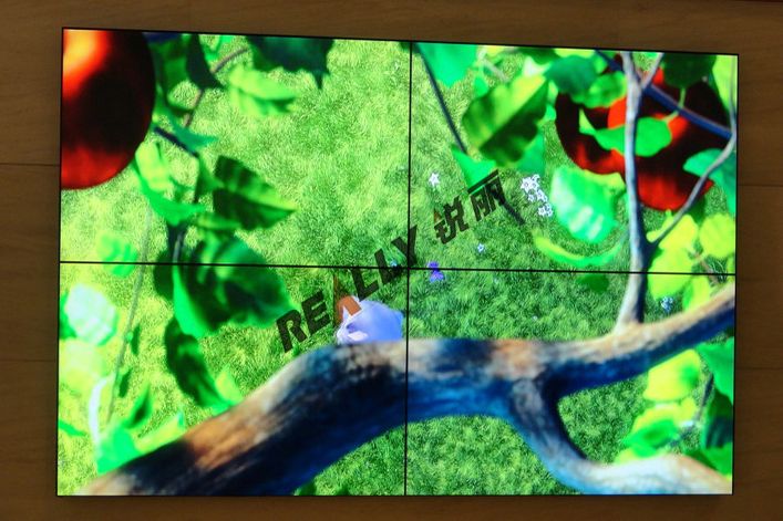 上海市浦东区华安基金管理公司LCD拼接墙_上